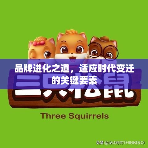 品牌进化之道，适应时代变迁的关键要素