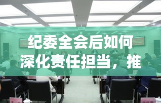 纪委全会后如何深化责任担当，推动落实工作见实效，实践指南与行动策略