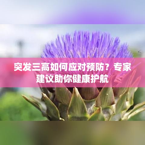 突发三高如何应对预防？专家建议助你健康护航