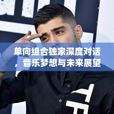 单向组合独家深度对话，音乐梦想与未来展望