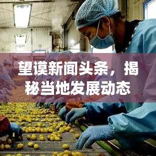 望谟新闻头条，揭秘当地发展动态与亮眼图片荟萃