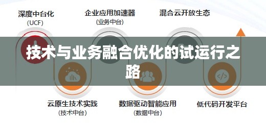 技术与业务融合优化的试运行之路