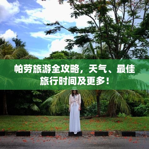帕劳旅游全攻略，天气、最佳旅行时间及更多！