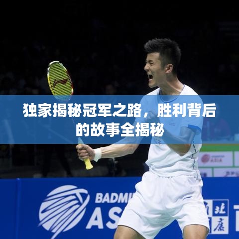 独家揭秘冠军之路，胜利背后的故事全揭秘