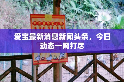 全神贯注 第2页