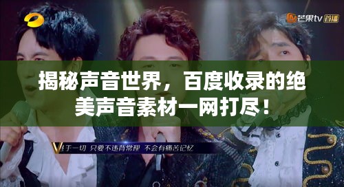 揭秘声音世界，百度收录的绝美声音素材一网打尽！