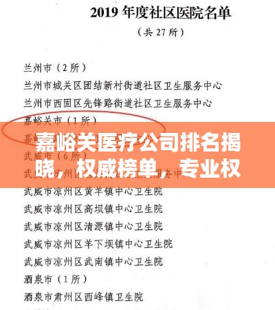 嘉峪关医疗公司排名揭晓，权威榜单，专业权威，值得信赖！