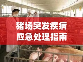猪场突发疾病应急处理指南