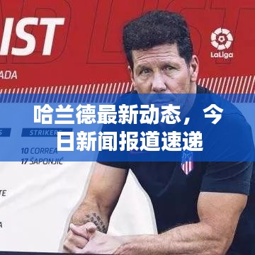 哈兰德最新动态，今日新闻报道速递