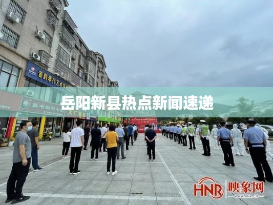 岳阳新县热点新闻速递