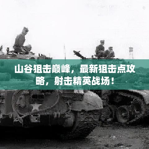 山谷狙击巅峰，最新狙击点攻略，射击精英战场！