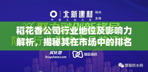 稻花香公司行业地位及影响力解析，揭秘其在市场中的排名！
