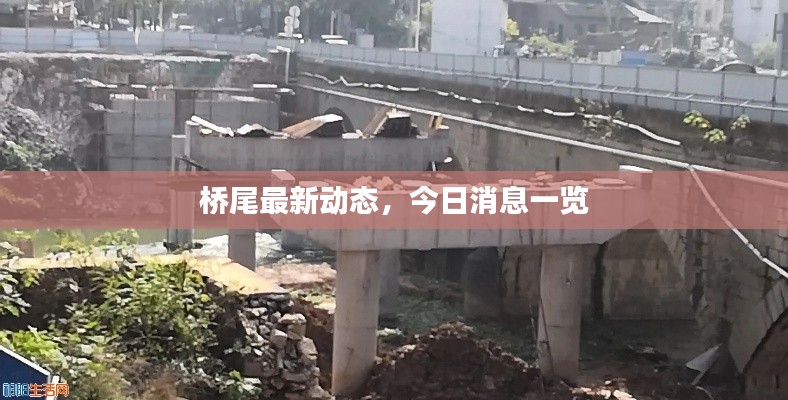 桥尾最新动态，今日消息一览