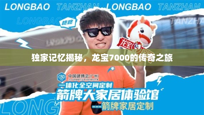 独家记忆揭秘，龙宝7000的传奇之旅