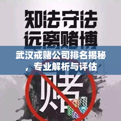 武汉戒赌公司排名揭秘，专业解析与评估