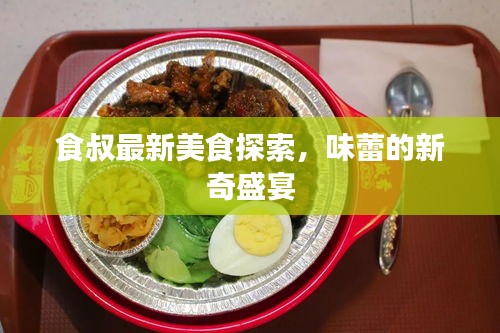 食叔最新美食探索,味蕾的新奇盛宴