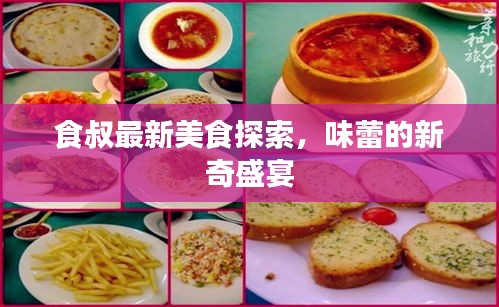 食叔最新美食探索,味蕾的新奇盛宴