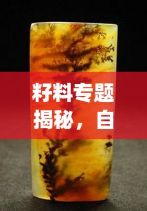 荡然无存 第2页