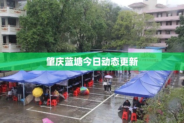 肇庆蓝塘今日动态更新