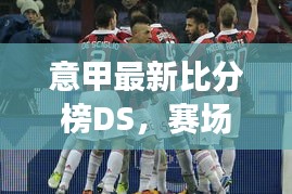 意甲最新比分榜DS，赛场激战正酣，未来对决引人瞩目
