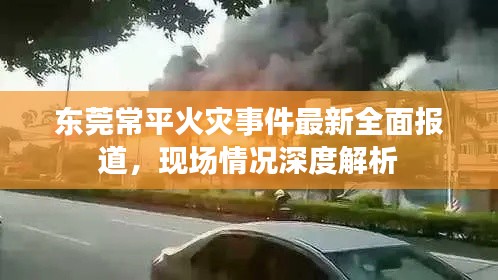 东莞常平火灾事件最新全面报道，现场情况深度解析