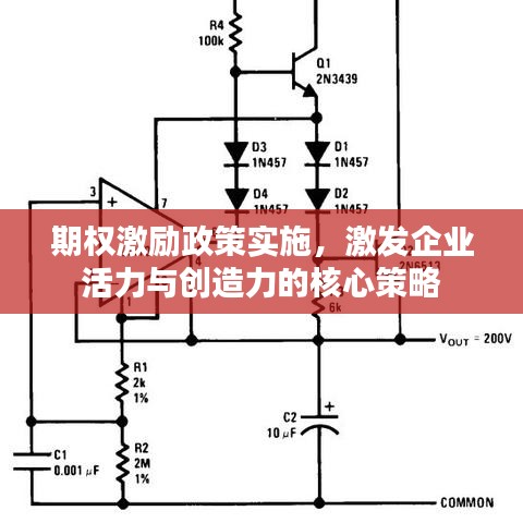 期权激励政策实施，激发企业活力与创造力的核心策略