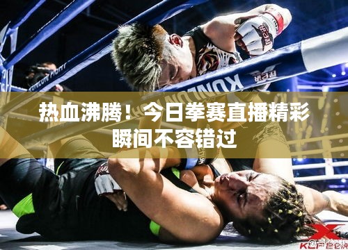 热血沸腾！今日拳赛直播精彩瞬间不容错过