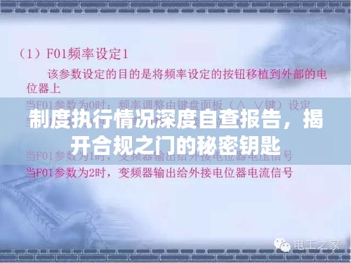 制度执行情况深度自查报告，揭开合规之门的秘密钥匙