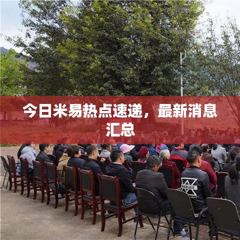 今日米易热点速递，最新消息汇总