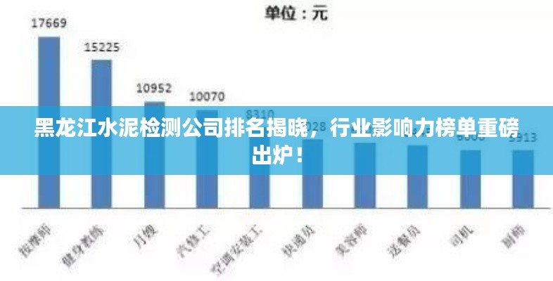 黑龙江水泥检测公司排名揭晓，行业影响力榜单重磅出炉！