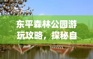 东平森林公园游玩攻略，探秘自然之美，尽享绿意盛宴！