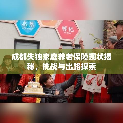 成都失独家庭养老保障现状揭秘，挑战与出路探索