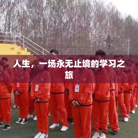 人生，一场永无止境的学习之旅