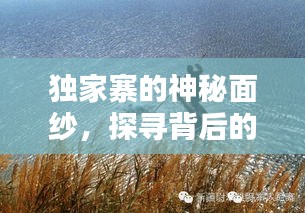 独家寨的神秘面纱，探寻背后的历史与文化内涵