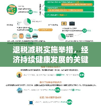 退税减税实施举措，经济持续健康发展的关键路径