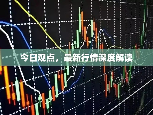 今日观点，最新行情深度解读