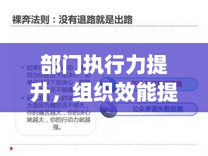 腾龙换鸟 第2页