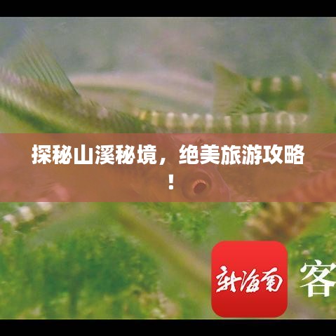 达官贵人 第3页