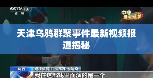 天津乌鸦群聚事件最新视频报道揭秘