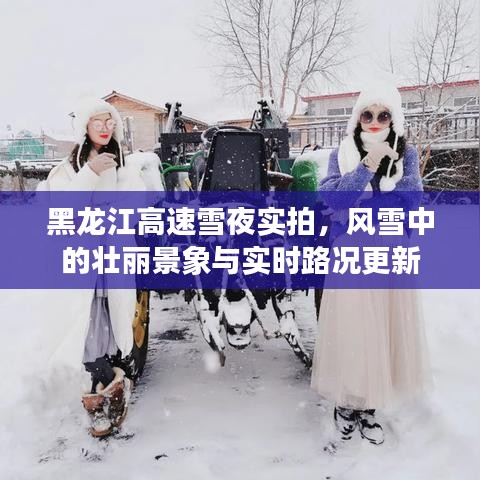黑龙江高速雪夜实拍，风雪中的壮丽景象与实时路况更新