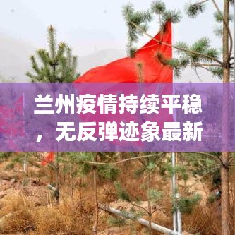 还淳反朴 第2页