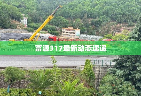 富源317最新动态速递