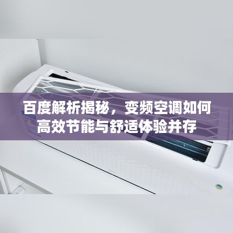 坌鸟先飞 第2页