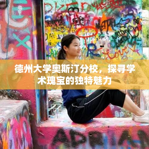德州大学奥斯汀分校，探寻学术瑰宝的独特魅力