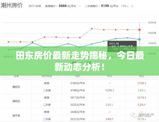田东房价最新走势揭秘，今日最新动态分析！