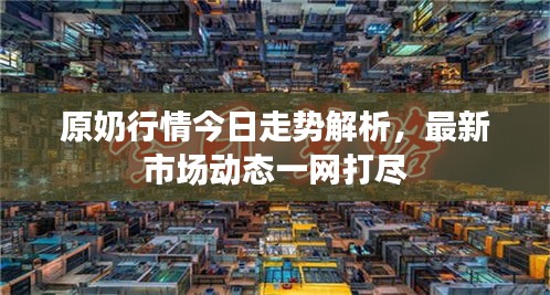 原奶行情今日走势解析，最新市场动态一网打尽
