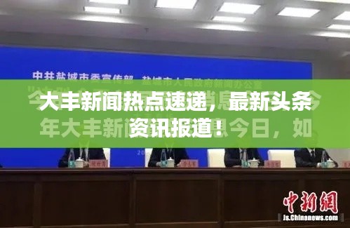 大丰新闻热点速递，最新头条资讯报道！