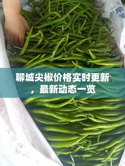 指李推张 第2页