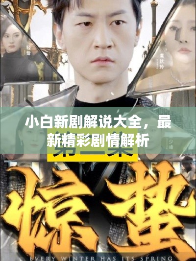 小白新剧解说大全，最新精彩剧情解析