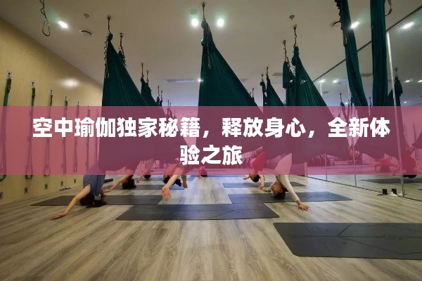 空中瑜伽独家秘籍，释放身心，全新体验之旅